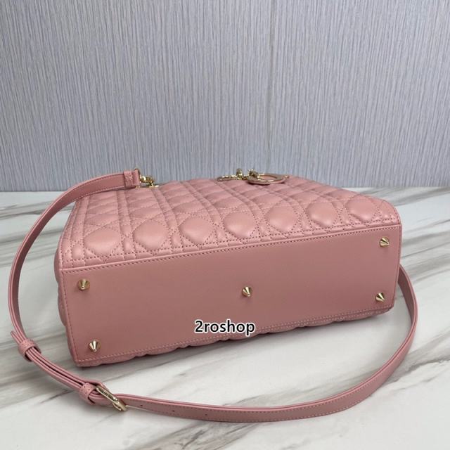 디올레이디백라지핑크