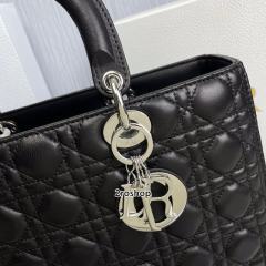 디올레이디백라지블랙