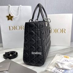 디올레이디백라지블랙