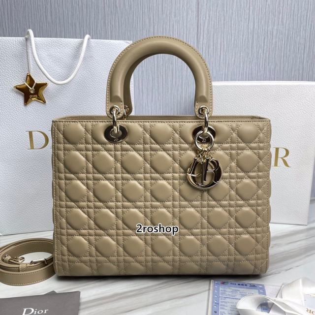 디올레이디백라지베이지