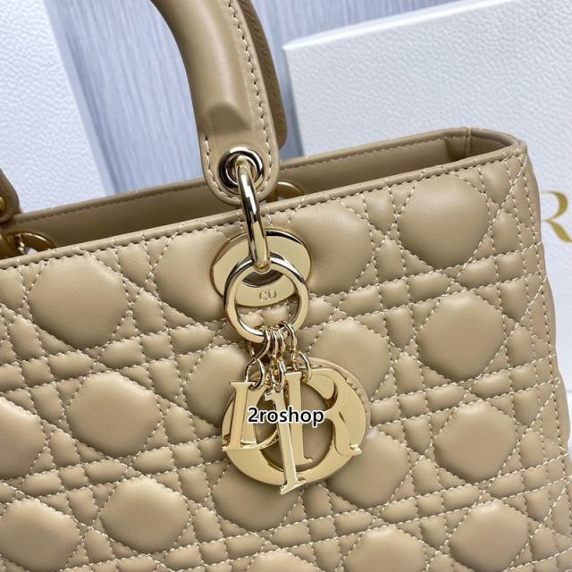 디올레이디백라지베이지