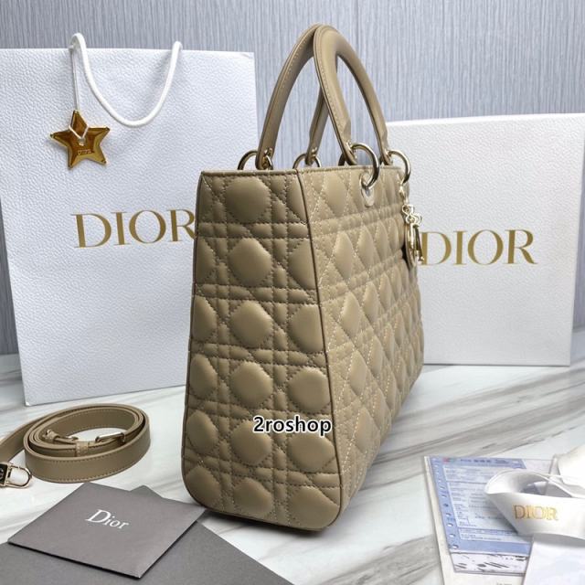 디올레이디백라지베이지