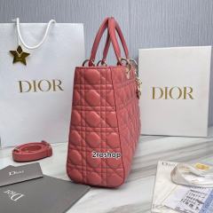 디올레이디백라지