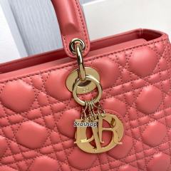 디올레이디백라지