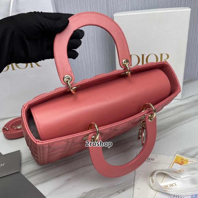 디올레이디백라지