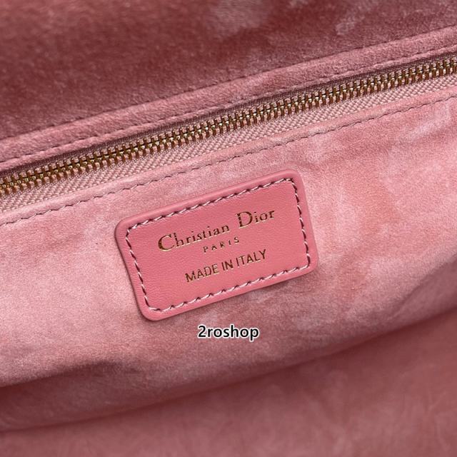 디올레이디백라지