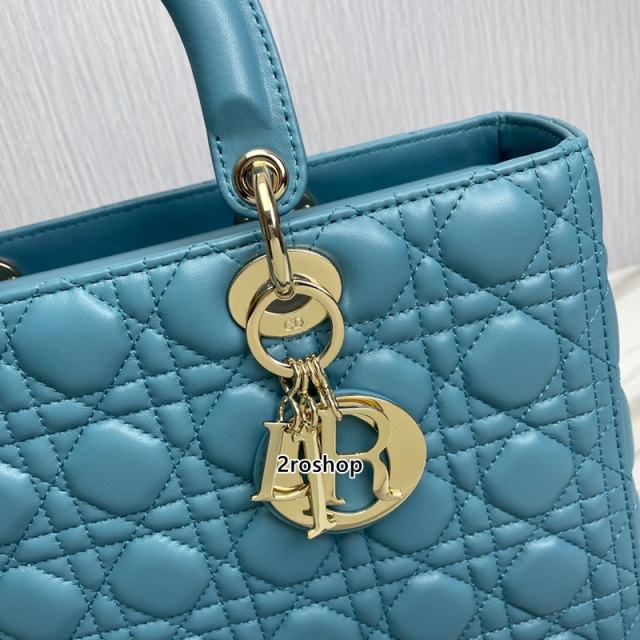 디올레이디백라지블루