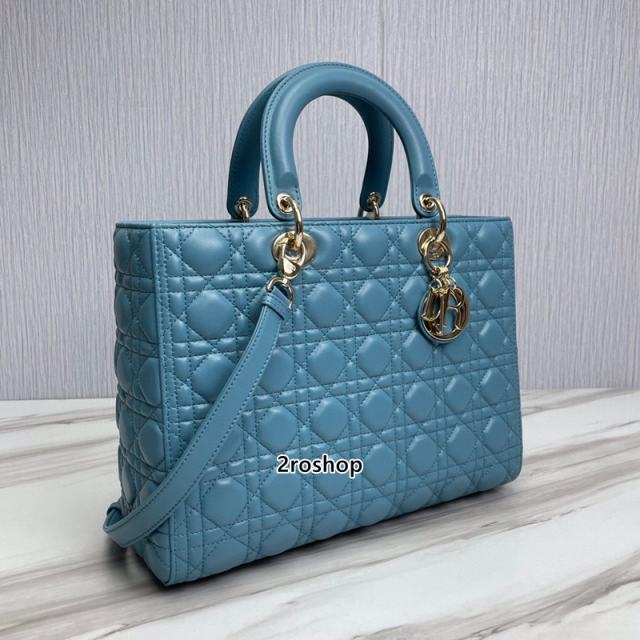 디올레이디백라지블루