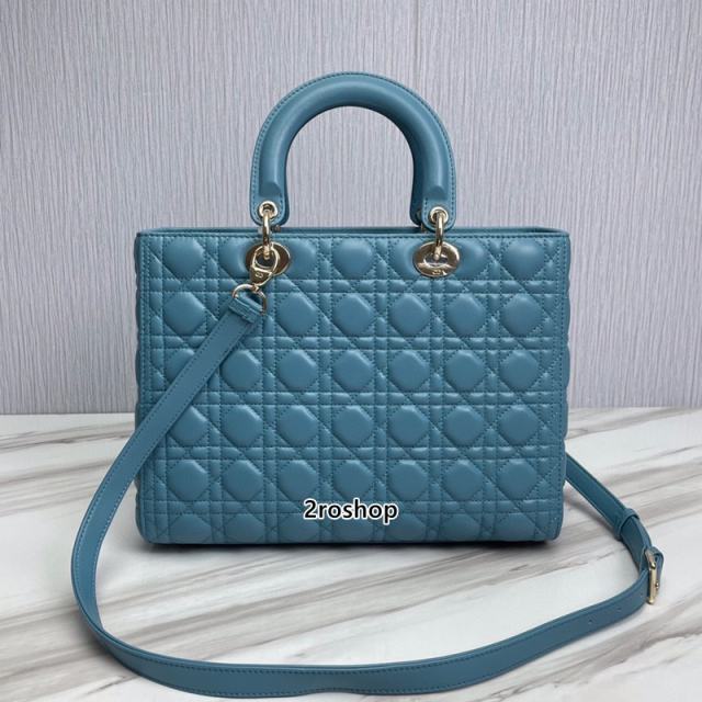 디올레이디백라지블루