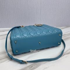 디올레이디백라지블루