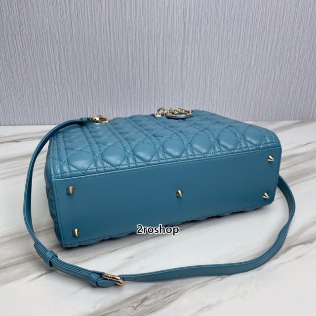 디올레이디백라지블루