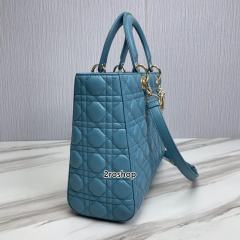 디올레이디백라지블루