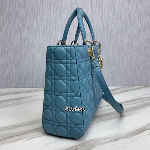 디올레이디백라지블루