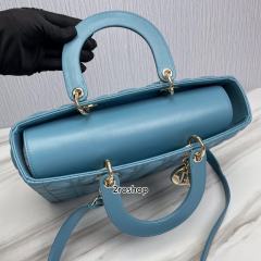 디올레이디백라지블루