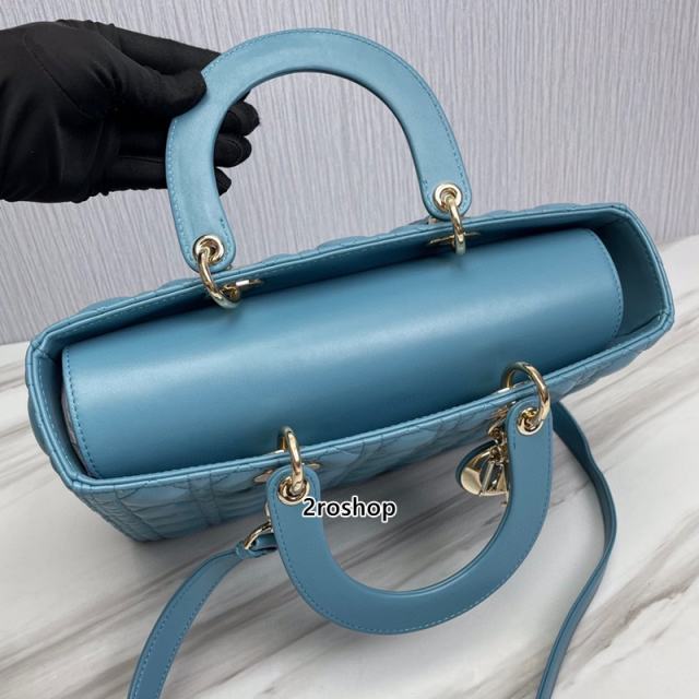 디올레이디백라지블루