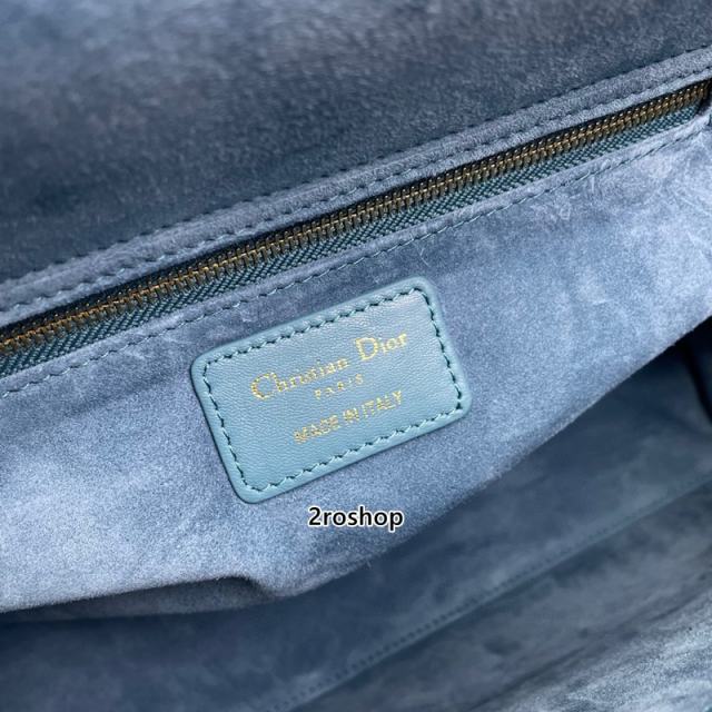 디올레이디백라지블루