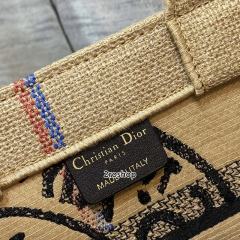 디올북토트백스몰