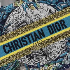 디올북토트백미듐