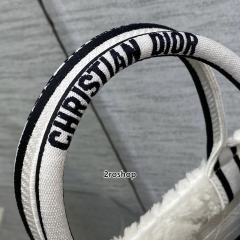 디올북토트백스몰