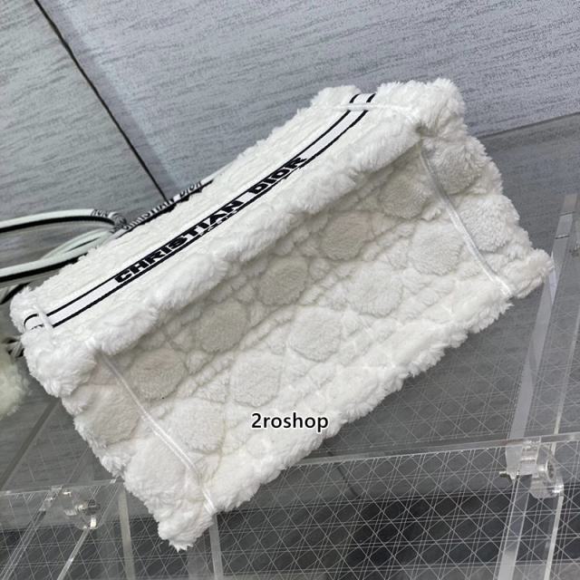 디올북토트백스몰