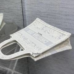 디올북토트백미니
