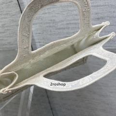 디올북토트백미니