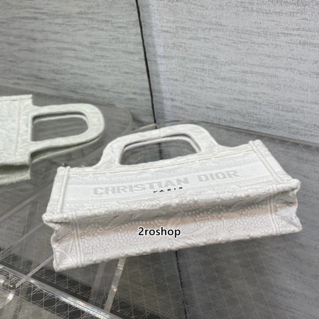 디올북토트백미니