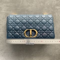 디올신상카로라지백