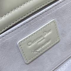 디올레이디조이백미듐화이트페이턴트