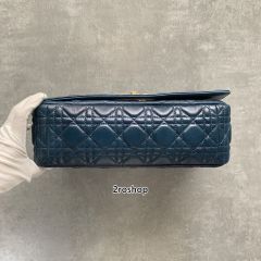 디올신상카로라지백