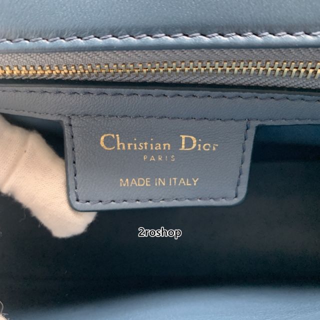 디올신상카로라지백