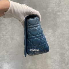 디올신상카로라지백