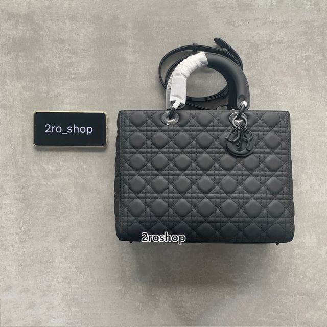 디올레이디백라지