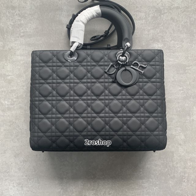 디올레이디백라지