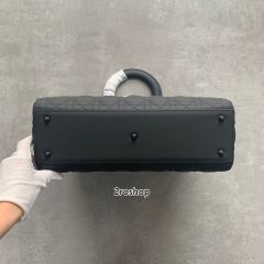 디올레이디백라지