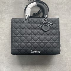 디올레이디백라지