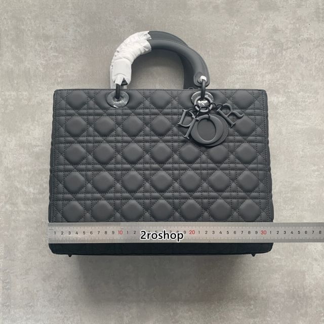 디올레이디백라지