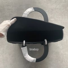 디올레이디백라지