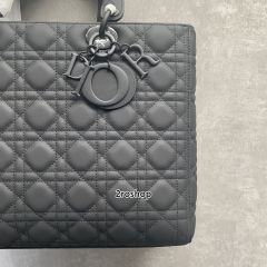 디올레이디백라지