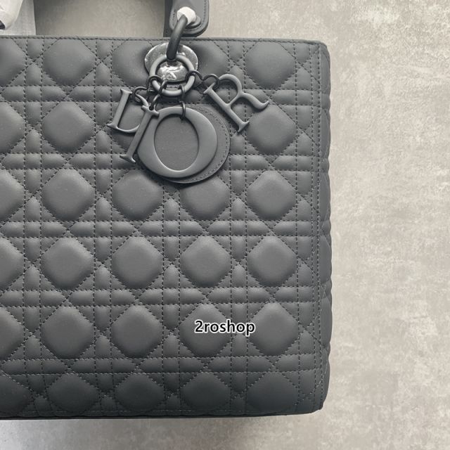 디올레이디백라지