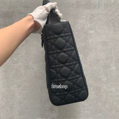 디올레이디백라지