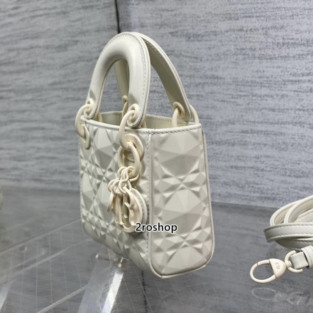 디올레이디백마이크로화이트다이아몬드