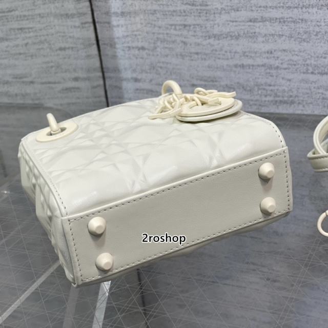 디올레이디백마이크로화이트다이아몬드