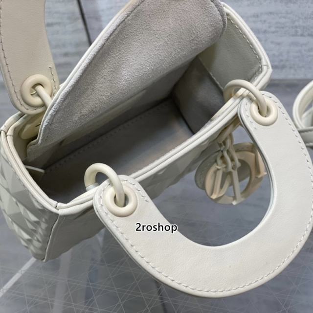 디올레이디백마이크로화이트다이아몬드