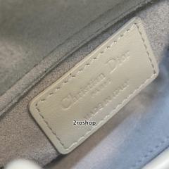 디올레이디백마이크로화이트다이아몬드