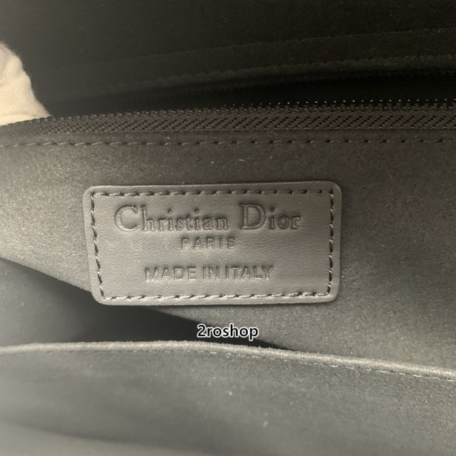 디올레이디백라지