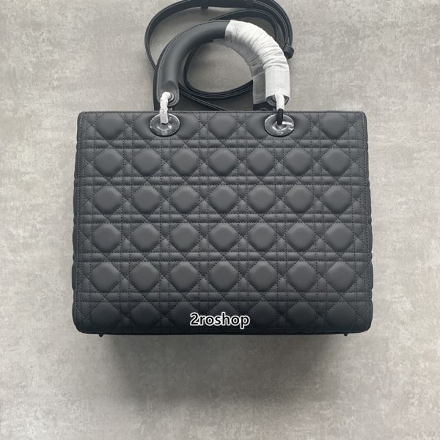 디올레이디백라지