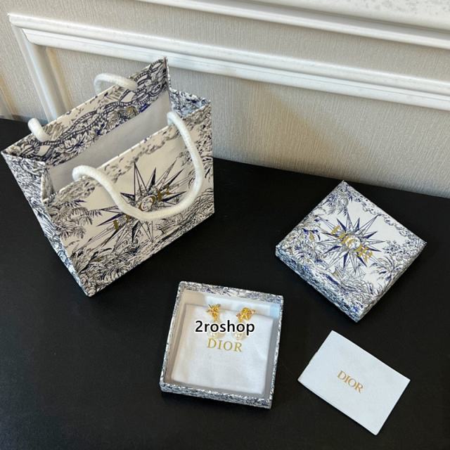 DIOR 피어싱