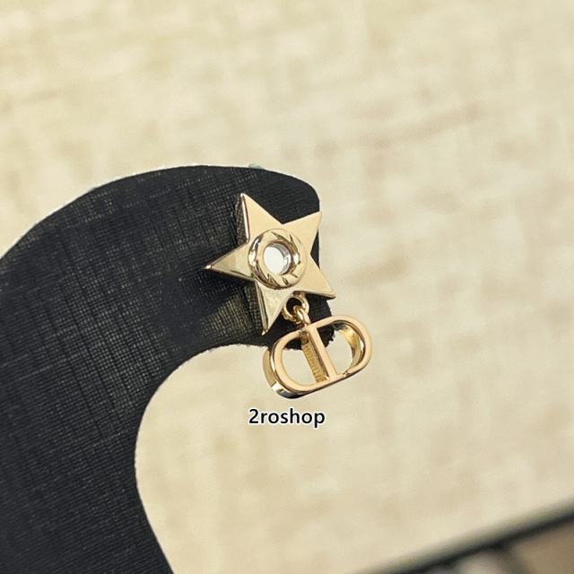 DIOR 피어싱
