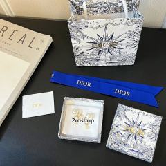 DIOR 피어싱